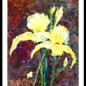 Yellow Iris Framed Print