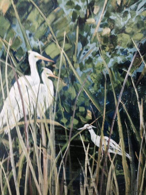 Family Time in the Marsh