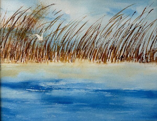Sea Walk S-837