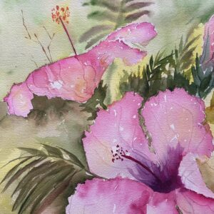 Pink Hibiscus CA-65